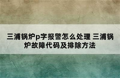 三浦锅炉p字报警怎么处理 三浦锅炉故障代码及排除方法